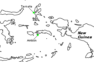 Maluku Islands（マルク諸島）の地図