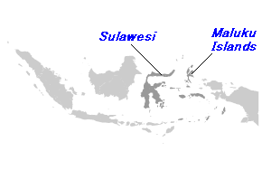 インドネシアのスラウェシ島、マルク諸島地図
