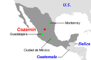 Cozamin（コサミン）銅鉱山周辺地図