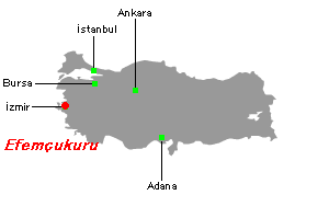 Efemcukuru金プロジェクト周辺地図