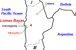 Lomas Bayas銅鉱山周辺地図