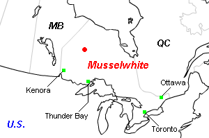 Musselwhite金鉱山周辺地図