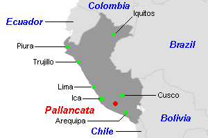 Pallancata銀・金鉱山周辺地図